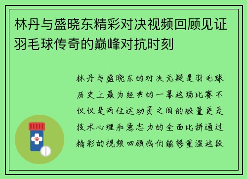 林丹与盛晓东精彩对决视频回顾见证羽毛球传奇的巅峰对抗时刻