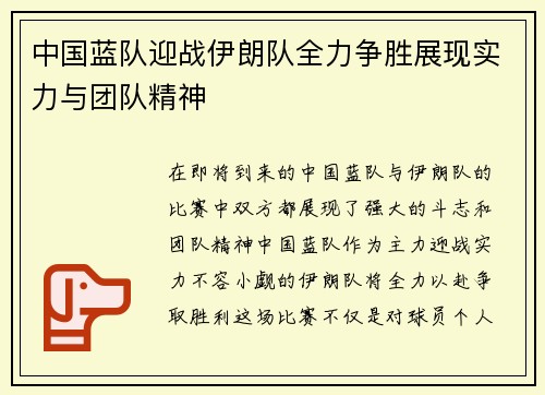 中国蓝队迎战伊朗队全力争胜展现实力与团队精神